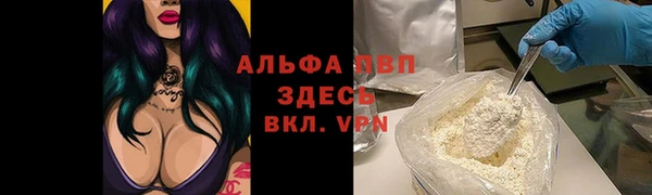 прущие крисы Алзамай