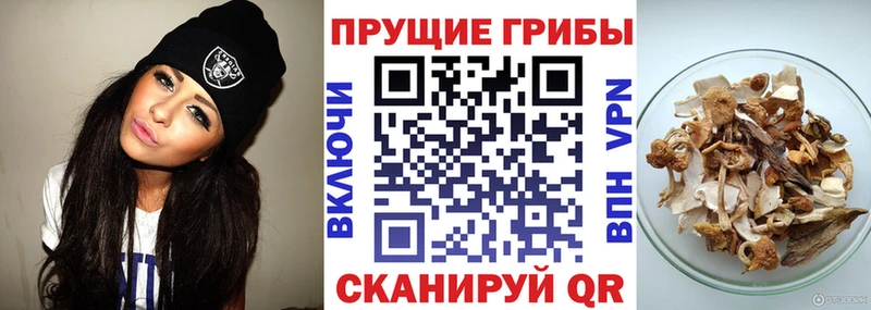 Псилоцибиновые грибы MAGIC MUSHROOMS  Бахчисарай 